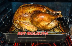 Read more about the article 10 Best Broiler Pan Reviews and Buying Guide 2021