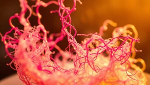 Read more about the article How Protein Coagulation Changes Texture